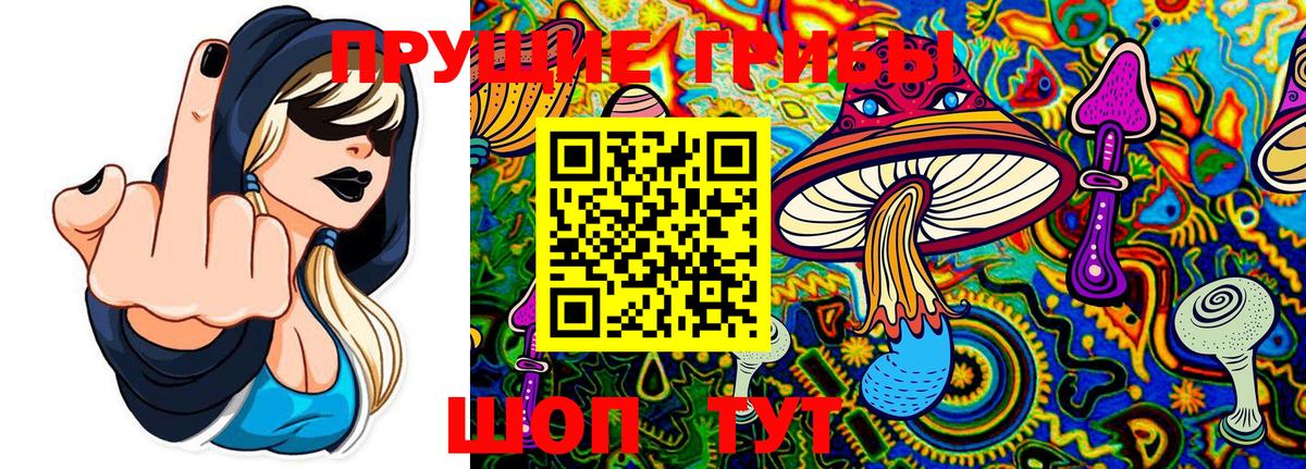 Галлюциногенные грибы Psilocybine cubensis  Псилоцибиновые грибы Psilocybe  Назарово  Вход с VPN 