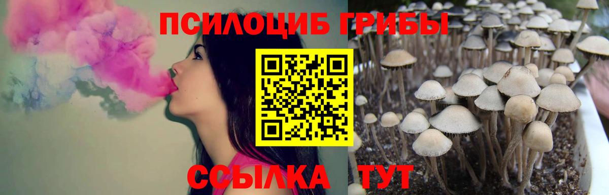 Псилоцибиновые грибы мицелий Назарово
